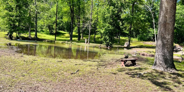 PIEMO 10 - POND